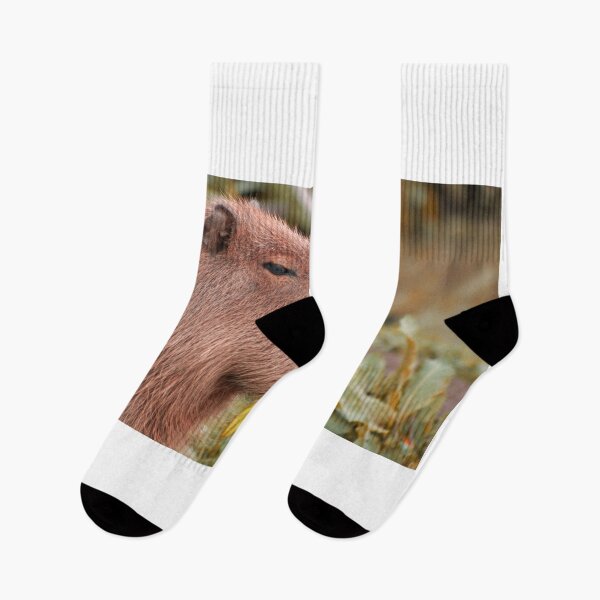 Item preview, Sleepy Capybara designed and sold by ItsClum.