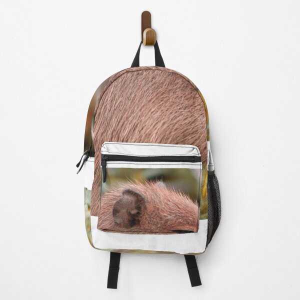 Item preview, Sleepy Capybara designed and sold by ItsClum.