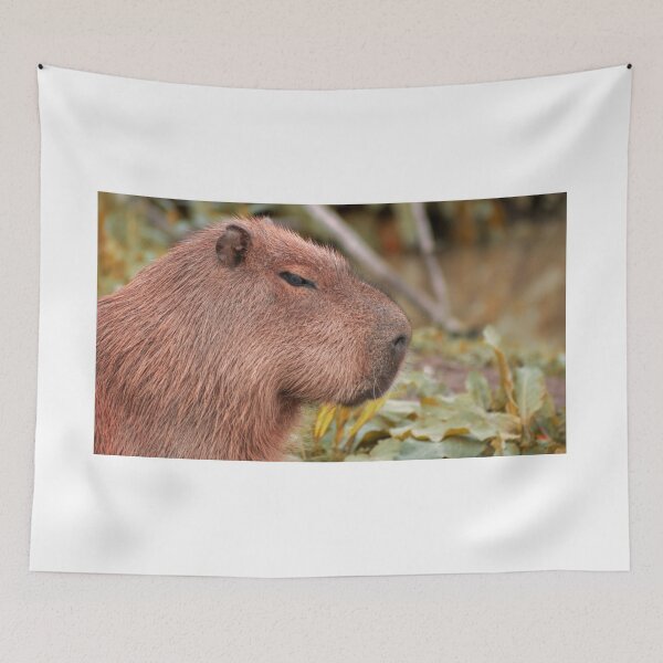 Item preview, Sleepy Capybara designed and sold by ItsClum.