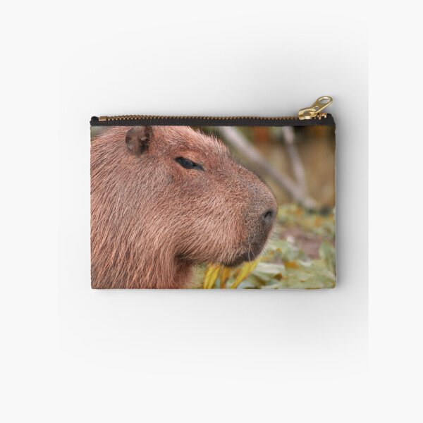 Item preview, Sleepy Capybara designed and sold by ItsClum.