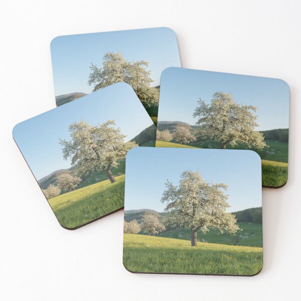 Item preview, Spring landscape with blooming cherry tree in the evening sun designed and sold by StohlerPhotos.