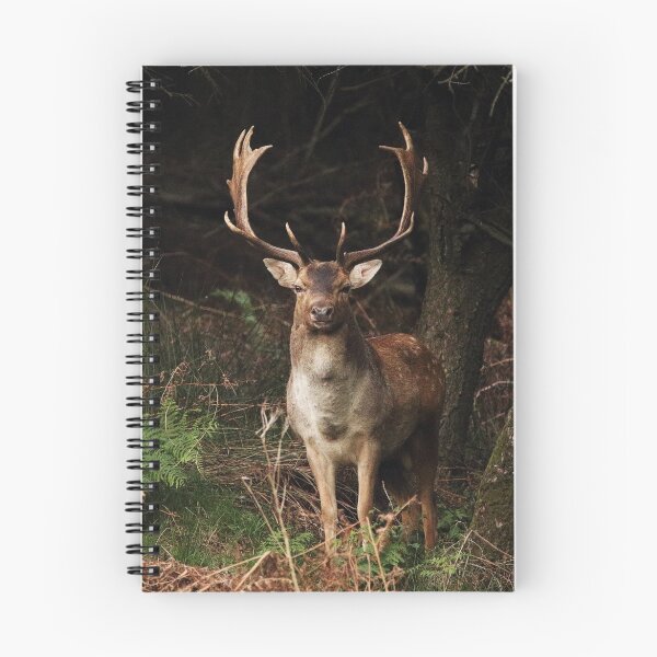 Item preview, Margam Deer designed and sold by DrewDavies.