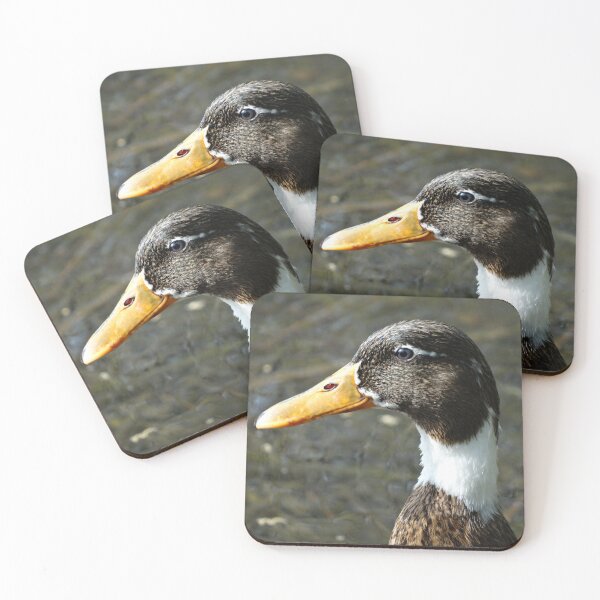 Item preview, Close-up head/beak of hybrid Mallard duck designed and sold by TwistedClassics.