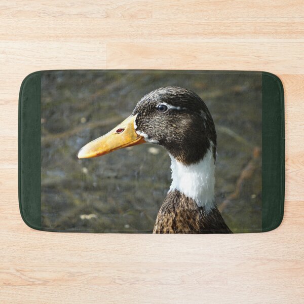Item preview, Close-up head/beak of hybrid Mallard duck designed and sold by TwistedClassics.