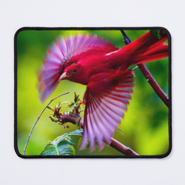 Item preview, Tanager designed and sold by ritusdesigns.
