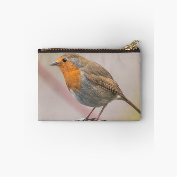 Item preview, Friendly Robin designed and sold by DrewDavies.