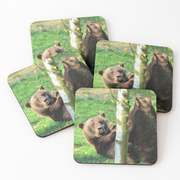 Item preview, Bear Sit Up designed and sold by Fearless-Fox.