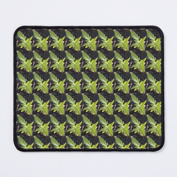 Item preview, GANJA designed and sold by PCCARES.