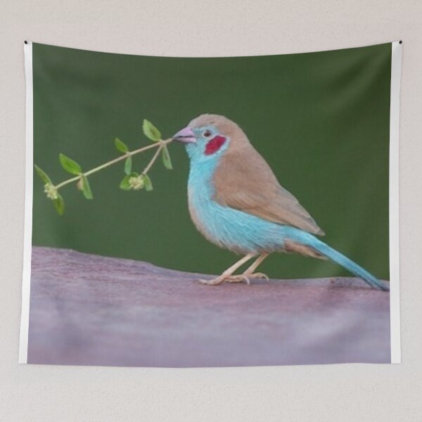 Item preview, Red cheeked Cordon bleu designed and sold by ritusdesigns.