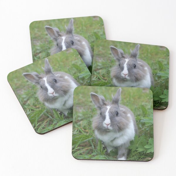 Item preview, Little grey rabbit  designed and sold by SVETLANA ZOLOTAREVA.