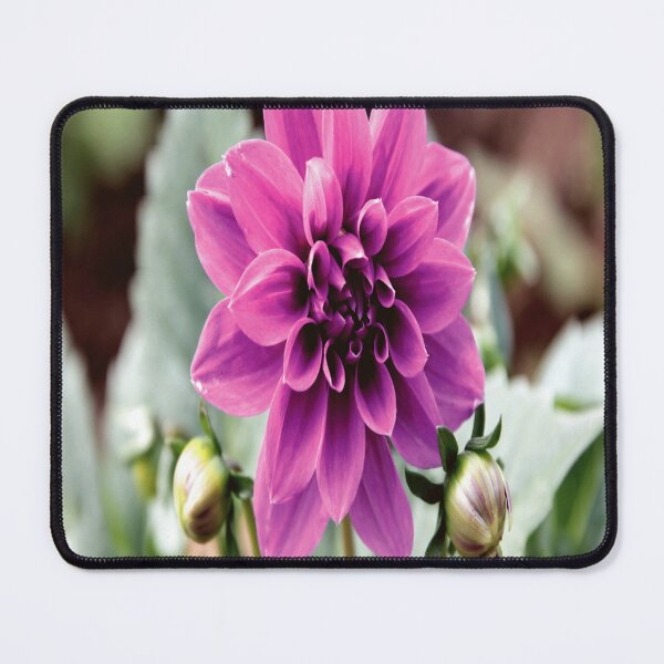 Item preview, Beautiful Botanica designed and sold by YARA TS.