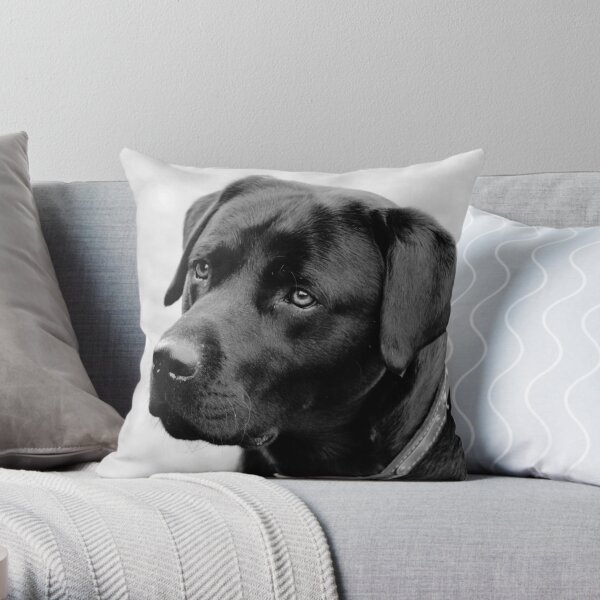 Shane, Black Labrador Throw Pillow