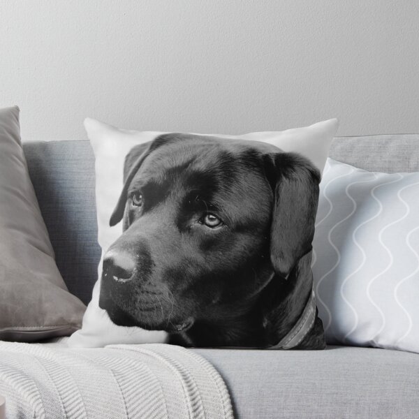 Item preview, Shane, Black Labrador designed and sold by thegreendogs.