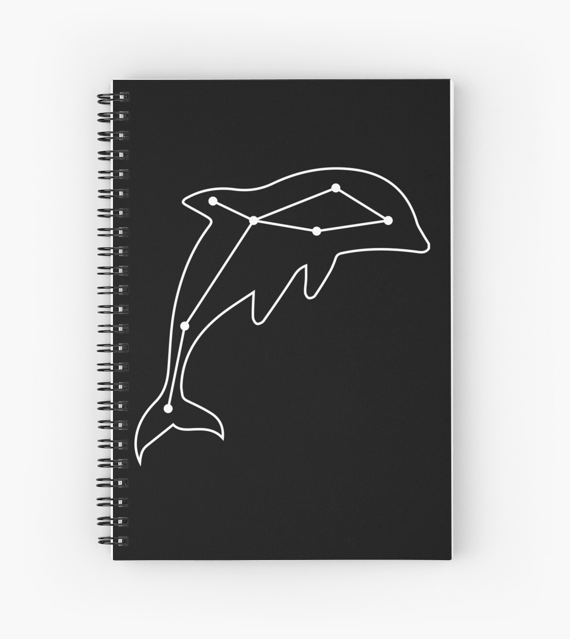 Constellation Dolphin - küçük ama ilginç Constellation Dolphin - küçük ama ilginç