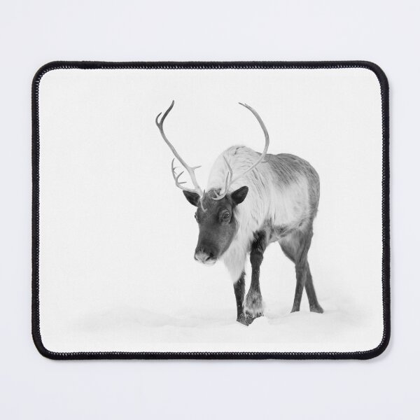 Aperçu de l'œuvre Caribou en hiver créée et vendue par James Cumming.