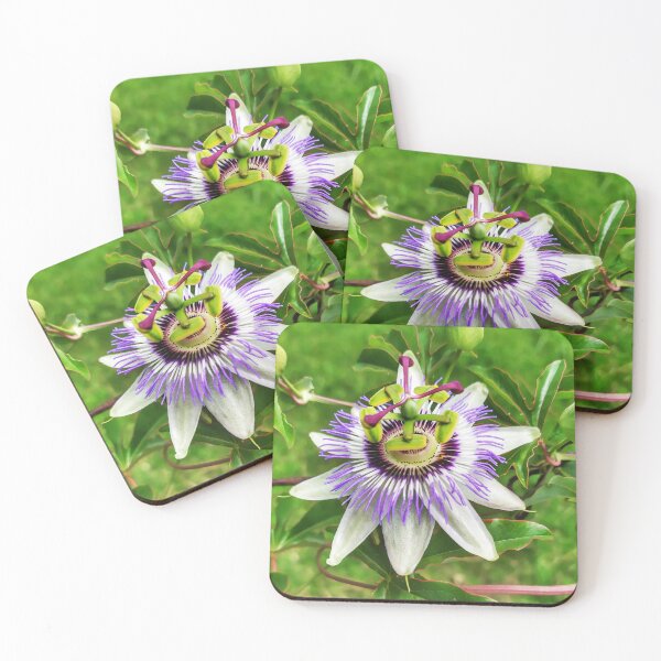 Item preview, Passionflower Flower from South and Central America designed and sold by Ana Torres.