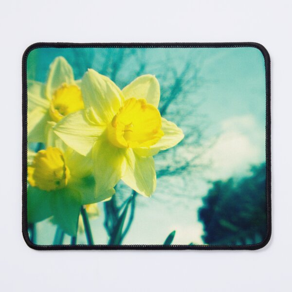 Item preview, Daffodils designed and sold by gailgriggs.
