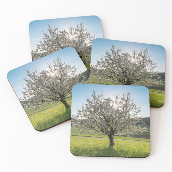 Item preview, Flowering tree in spring designed and sold by StohlerPhotos.