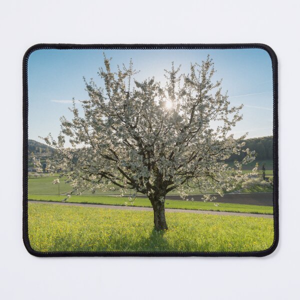 Item preview, Flowering tree in spring designed and sold by StohlerPhotos.