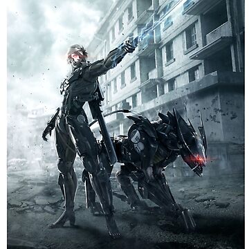 Metal Gear Rising Raiden