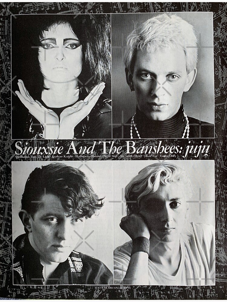 Siouxie And The Banshees Poster Poster By Amberflash Redbubble