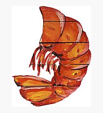 Lámina fotográfica Cola de gambas escamosa