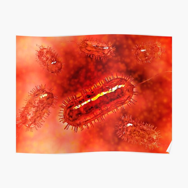 Escherichia Coli Bacteria Posters | Redbubble