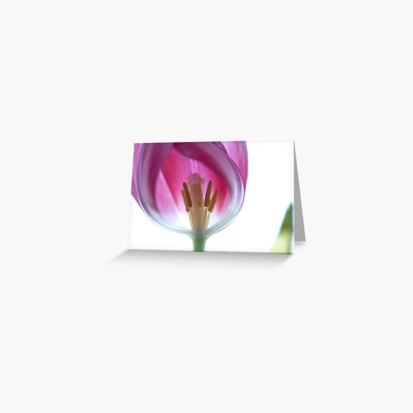 Floral therapy Greeting Card