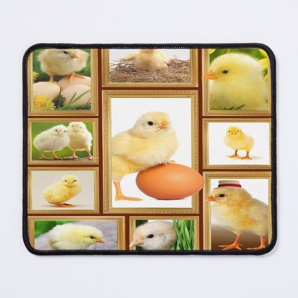 Item preview, Chicken - Chicken Lover - Chick designed and sold by christinecather.