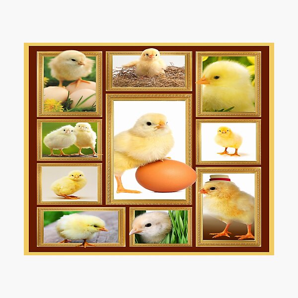 Item preview, Chicken - Chicken Lover - Chick designed and sold by christinecather.