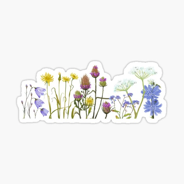 Wildflower Meadow - Transparent Sticker