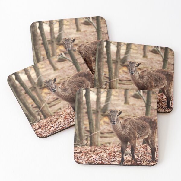 Item preview, Brown Goat designed and sold by Cynthia48.