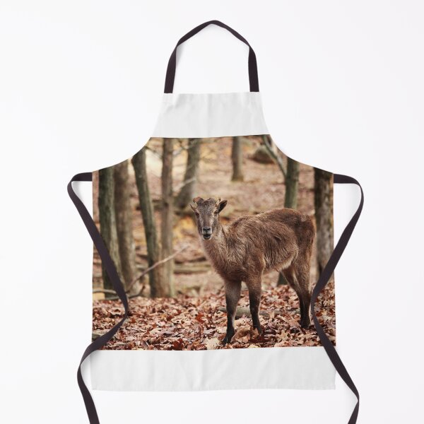 Item preview, Brown Goat designed and sold by Cynthia48.