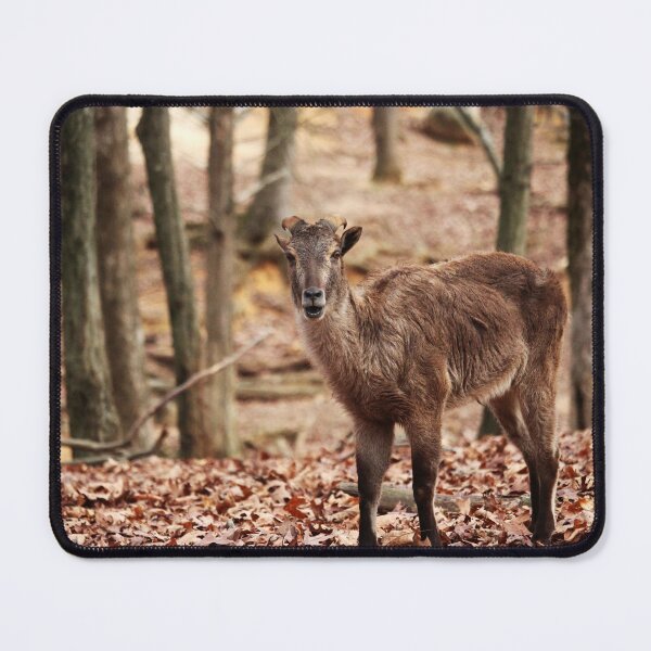Item preview, Brown Goat designed and sold by Cynthia48.