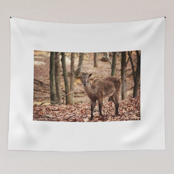 Item preview, Brown Goat designed and sold by Cynthia48.