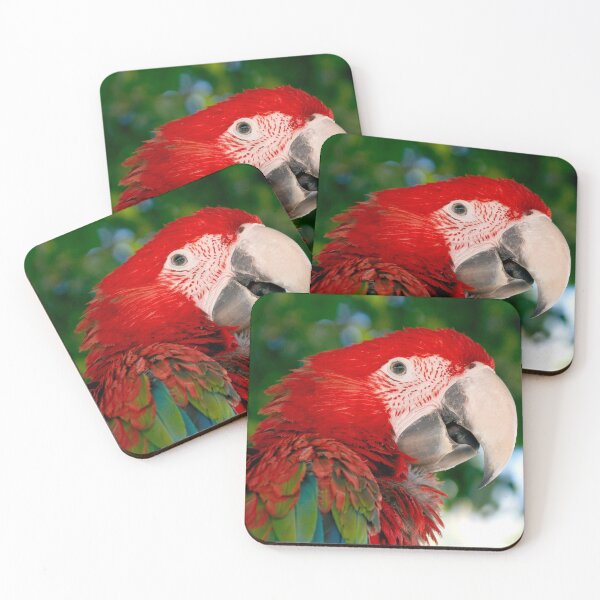Item preview, parrot perroquet cockatoo macaw  designed and sold by Lily Art.