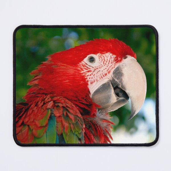 Item preview, parrot perroquet cockatoo macaw designed and sold by Lily Art.
