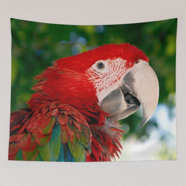 Item preview, parrot perroquet cockatoo macaw  designed and sold by Lily Art.