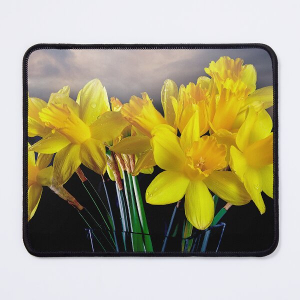 Item preview, Welsh yellow Daffodils designed and sold by Leighton Collins.