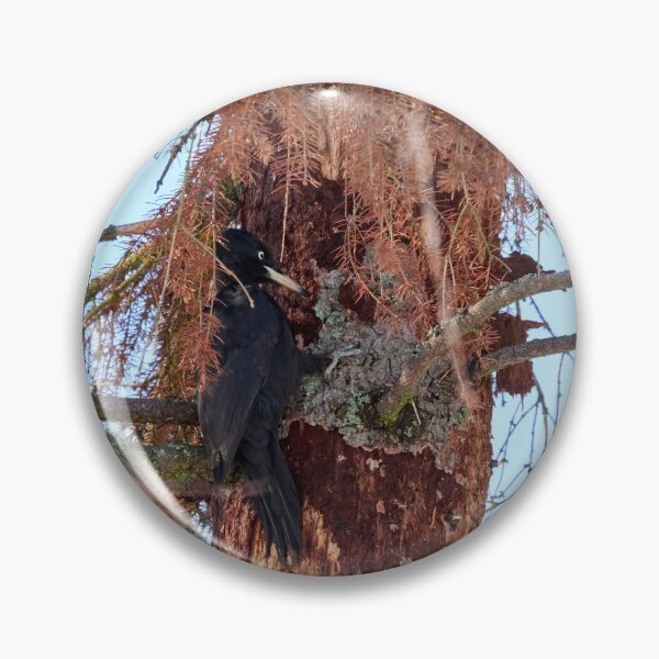 Item preview, Forester at work 1.  Black woodpecker designed and sold by Jouko Lehto Photography.