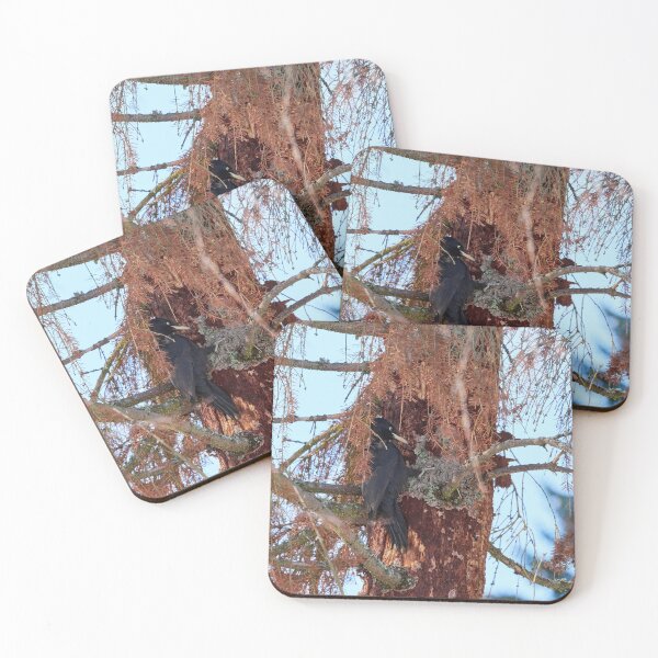 Item preview, Forester at work 1.  Black woodpecker designed and sold by Jouko Lehto Photography.