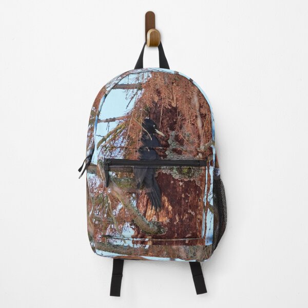 Item preview, Forester at work 1.  Black woodpecker designed and sold by Jouko Lehto Photography.