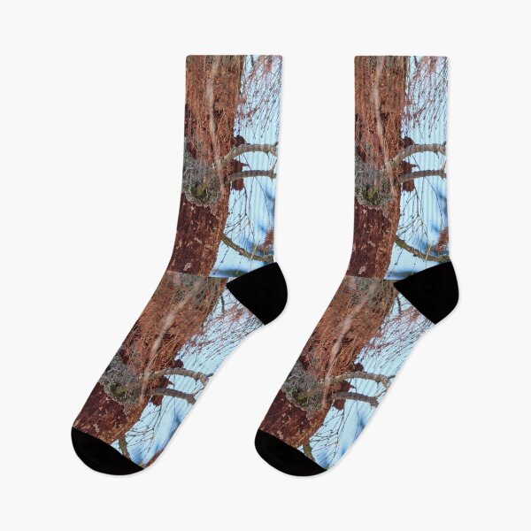 Item preview, Forester at work 1.  Black woodpecker designed and sold by Jouko Lehto Photography.