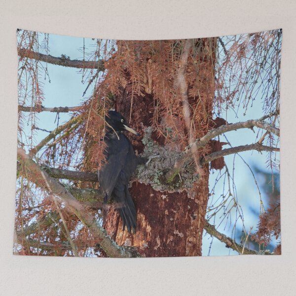 Item preview, Forester at work 1.  Black woodpecker designed and sold by Jouko Lehto Photography.