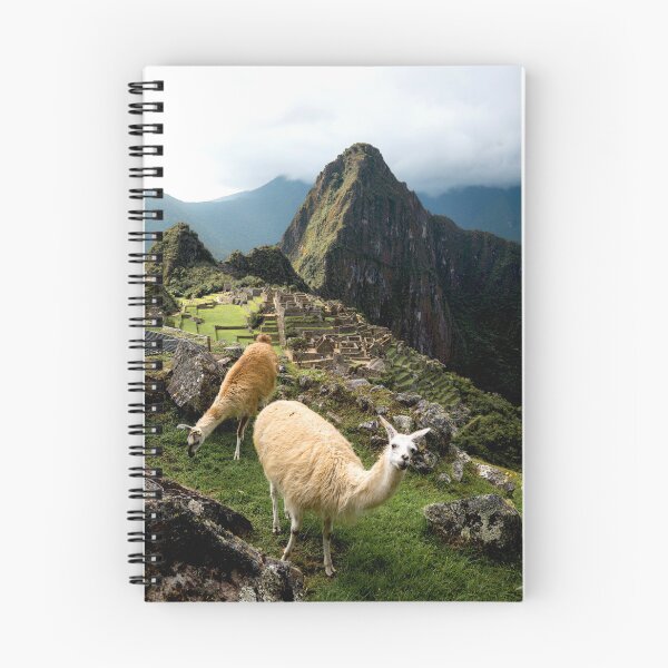 Artikelvorschau, Glückliche Lamas entworfen und verkauft von SolomonsPics.