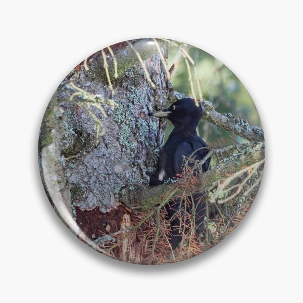 Item preview, Forester at work 2.  Black woodpecker designed and sold by Jouko Lehto Photography.