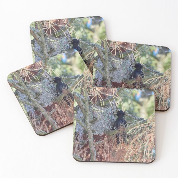Item preview, Forester at work 2.  Black woodpecker designed and sold by Jouko Lehto Photography.