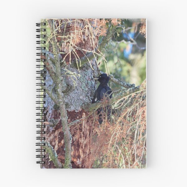 Item preview, Forester at work 2.  Black woodpecker designed and sold by Jouko Lehto Photography.