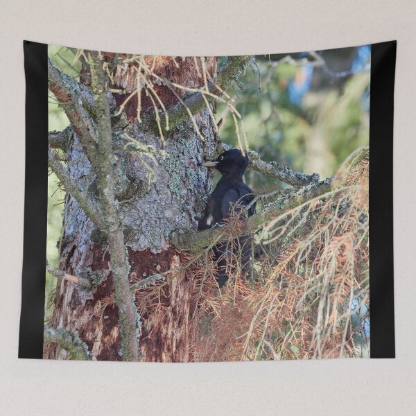 Item preview, Forester at work 2.  Black woodpecker designed and sold by Jouko Lehto Photography.