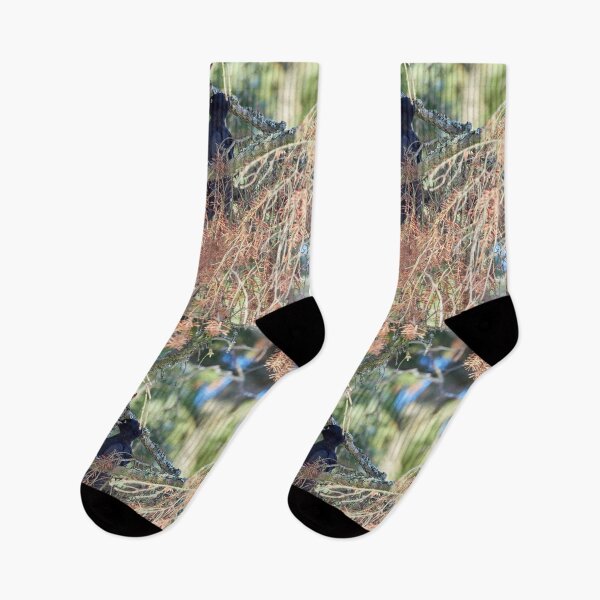 Item preview, Forester at work 2.  Black woodpecker designed and sold by Jouko Lehto Photography.